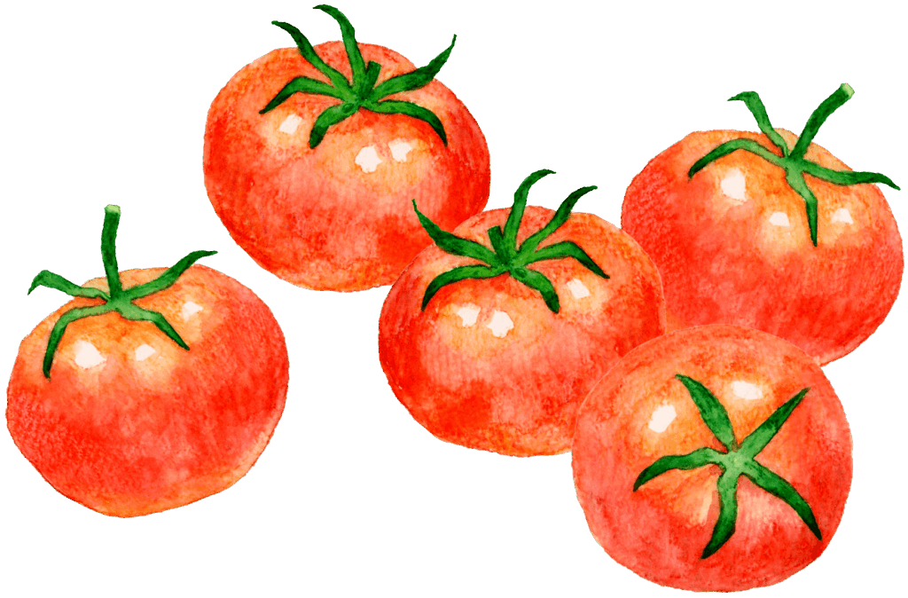 トマトイラスト
